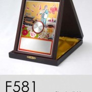 F581