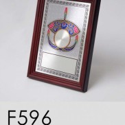 F596