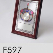 F597