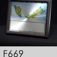 F669