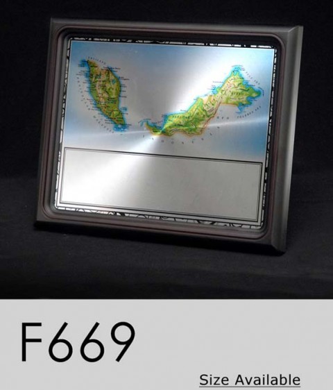 F669