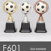 F601 Football