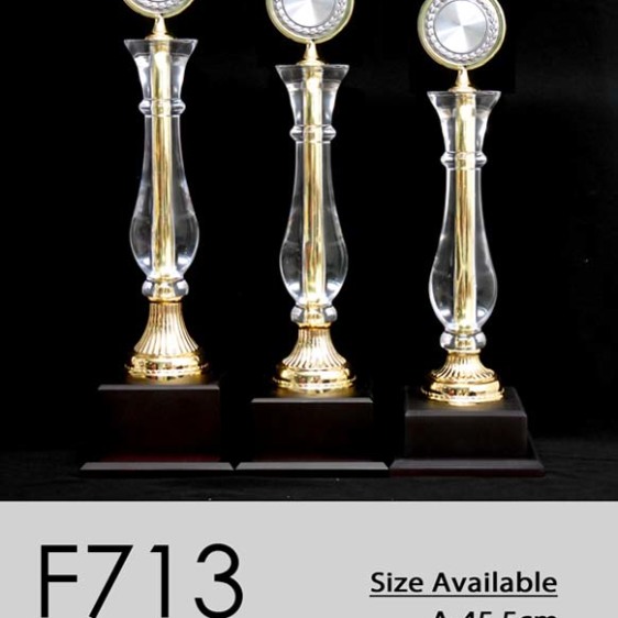 F713